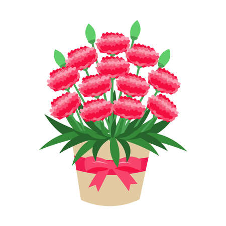 Illustration of carnation potted plantのイラスト素材