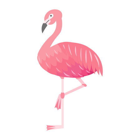 Illustration of a flamingo standing on one legのイラスト素材