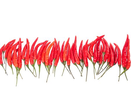 Top view of hot chili pepper lisolated on a white backgroundの写真素材
