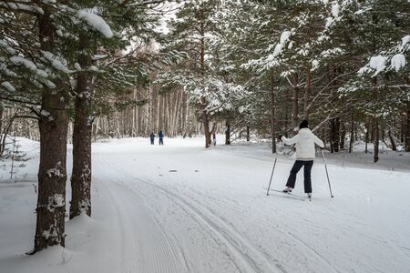 People go skiing in the forest.の写真素材