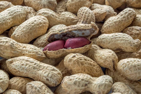 Peanuts seed placed on Peanuts Shell background.の写真素材
