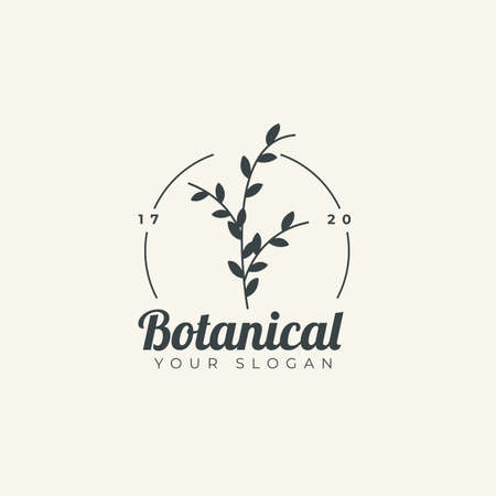 Design symbol icon sign. Illustration vector of an organic leaf. Graphic plant element. Botanical nature flower. minimalist organic concept beautiful minimalist Free Vector.のイラスト素材