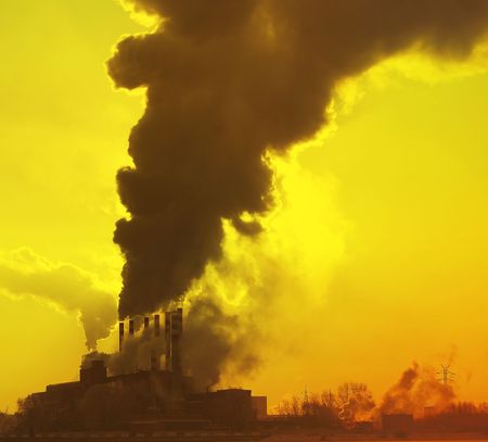 Plant with smokeの写真素材