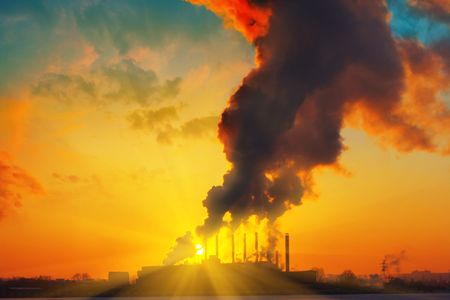 Plant with smoke under sunset lightの写真素材