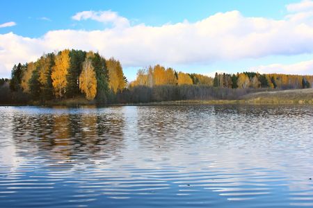 Pond and autumn forestの写真素材