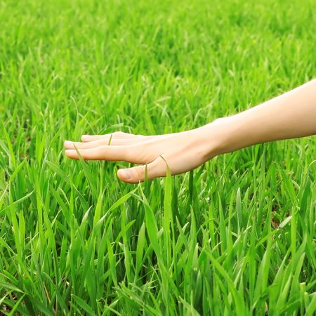 Hand over green grassの写真素材