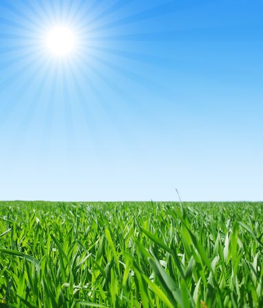 Green grass blue sky and sunの写真素材