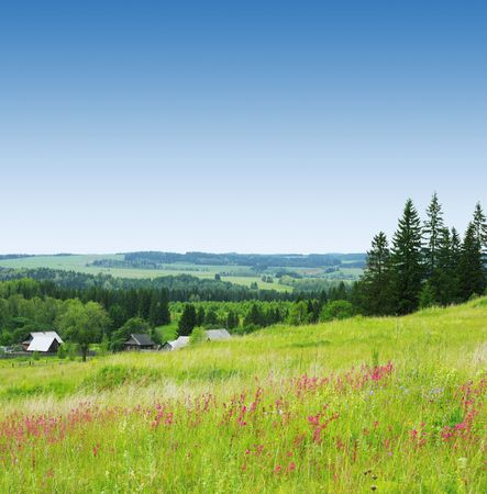 Rural landscape with wild meadow, alone buildings, trees and blue skyの写真素材