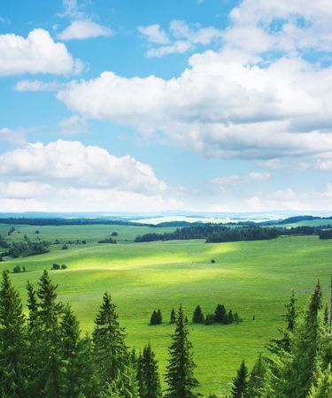 Green rural meadow with trees and blue sky with clouds, view from hill.の写真素材