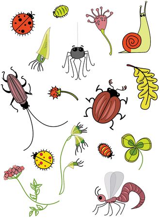 Insects. Rasterized copyの写真素材