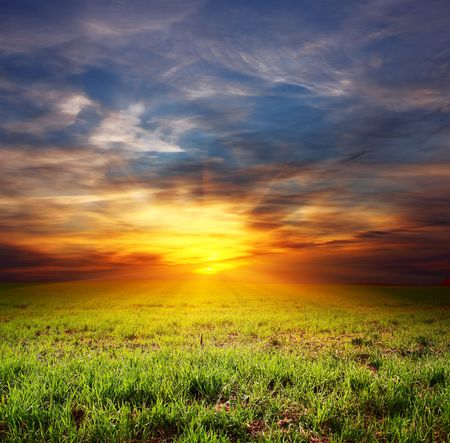 Sunset over field with green grassの写真素材