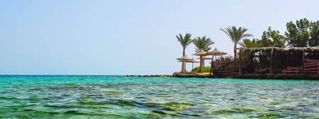 Palm trees on coast and clear blue seaの写真素材