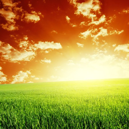Green meadow and abstract red sky with cloudsの写真素材