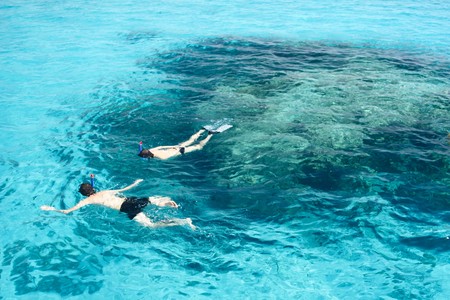 Snorkeling in clear blue seaの写真素材