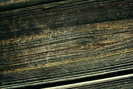 Old wood texture