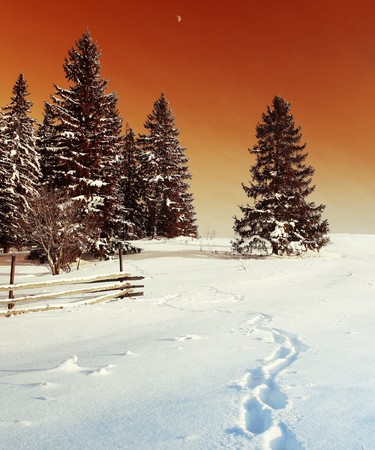 Pine trees in snow on hill under red abstract skyの写真素材