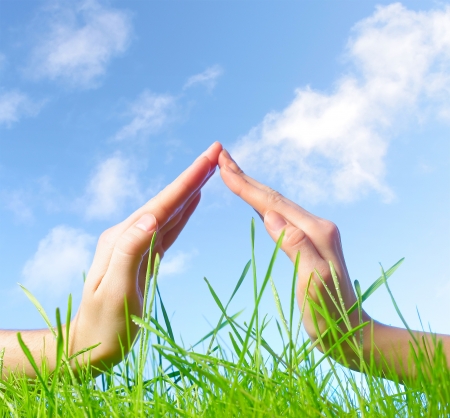 Hand sign above green wet grass over blue sky backgroundの写真素材