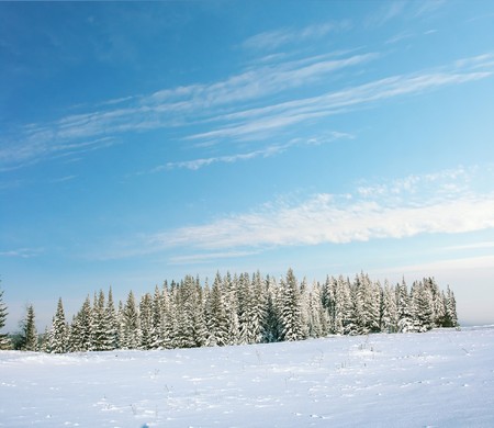 Winter forest with blue sky and cloudsの写真素材