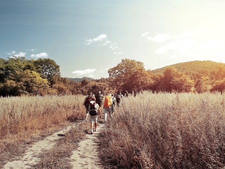 Group of backpackers walking on rural roadの写真素材