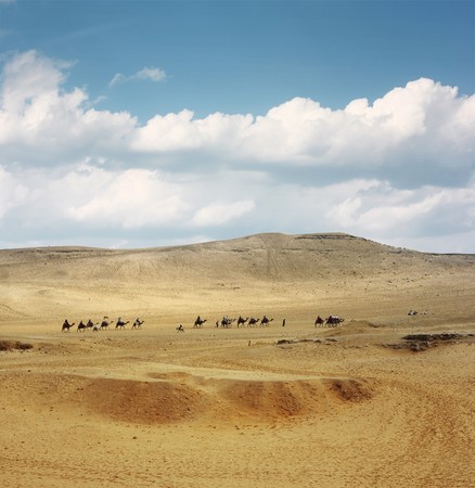 Caravan in warm desertの写真素材