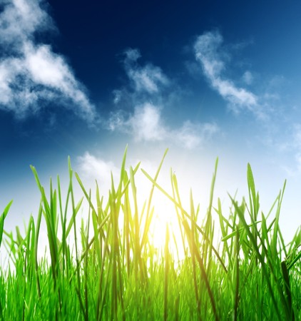 Green grass blue sky and sunlightの写真素材