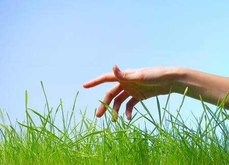 Hand above wet green grass over blue backgroundの写真素材