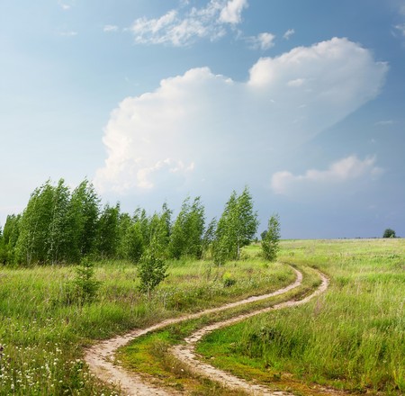 Rural road in field near birches and blue skyの写真素材