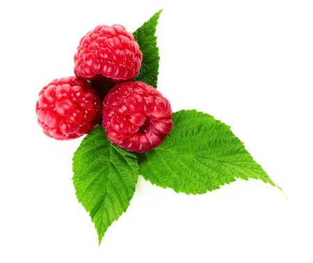 Ripe raspberry with green leaves over whiteの写真素材