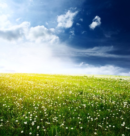 Green meadow and blue sky with cloudsの写真素材