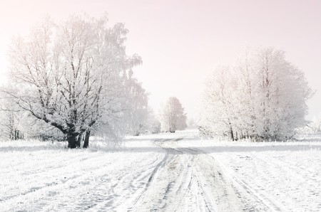 Frozen trees and rural roadの写真素材