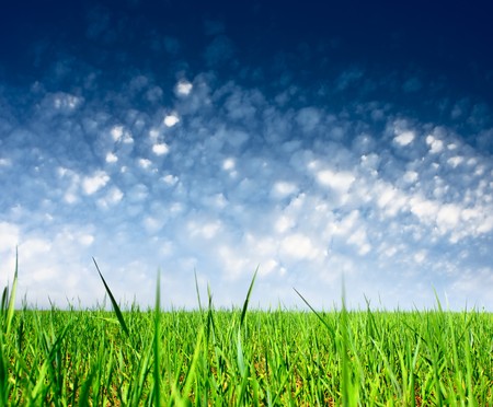 Green grass and blue sky with cloudsの写真素材