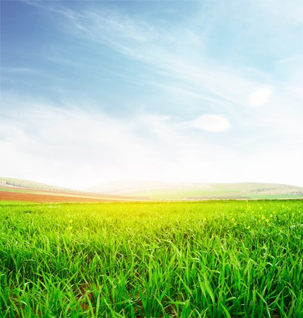 Meadow with green grass and blue sky with cloudsの写真素材