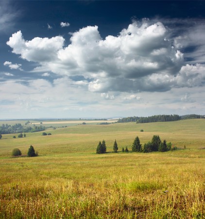Wide valley and groups of treesの写真素材