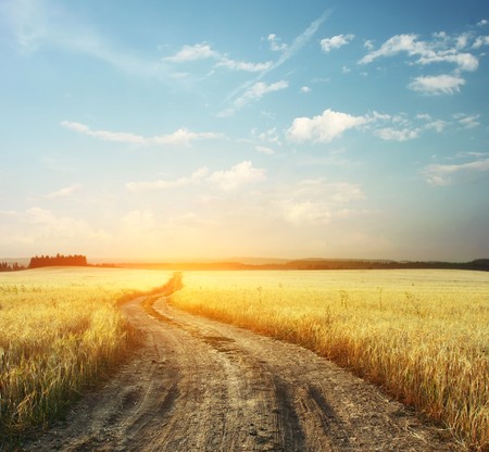 Road in field and blue sky with cloudsの写真素材