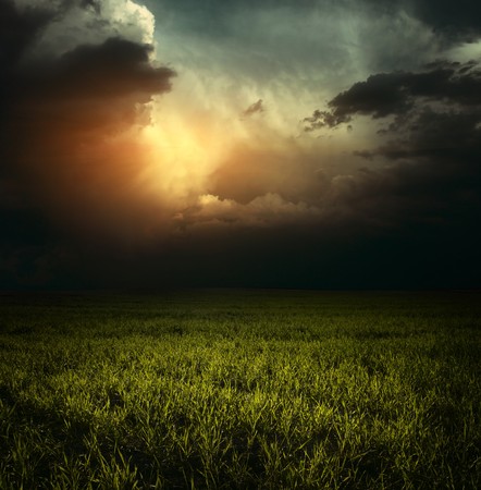 Storm clouds over green meadow with grassの写真素材