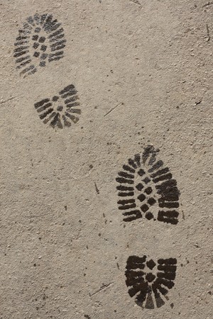 Wet footprints on asphalt surfaceの写真素材