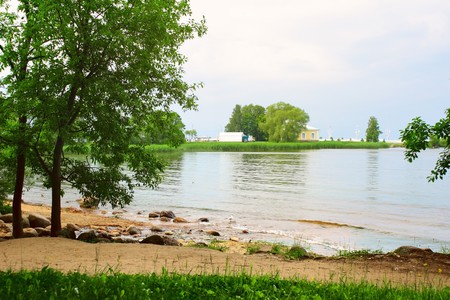 Pond and treesの写真素材