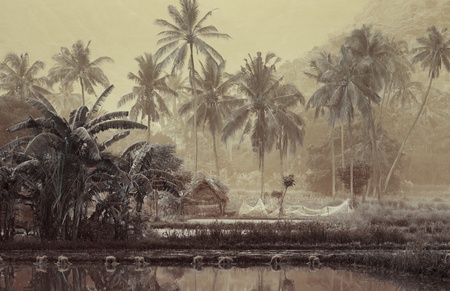 Small wooden house with fishing net in tropical forest near pondの写真素材