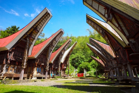 Traditional homes of the Toraja's people on Sulawesi island. Indonesia.の写真素材