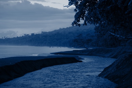 River sea and forest at night light