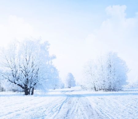 Winter rural road in a forest with frozen treesの写真素材