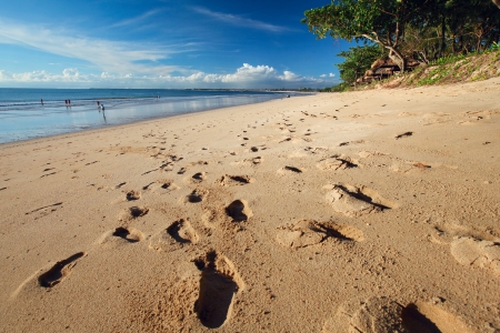 Sandy beach with footprints clear blue sky and green treesの写真素材