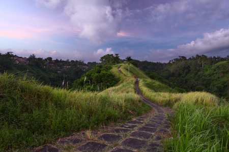 Tile walkway between hills with green bush meadowsの写真素材