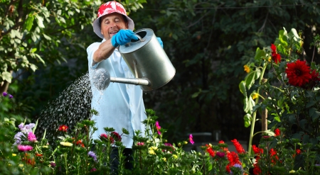 Mature caucasian man watering green garden with a lot of flowersの写真素材