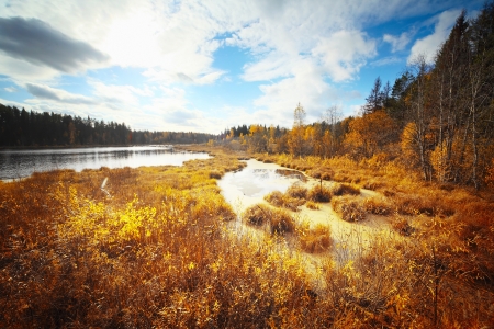 Autumn pond among trees and blue sky with clouds