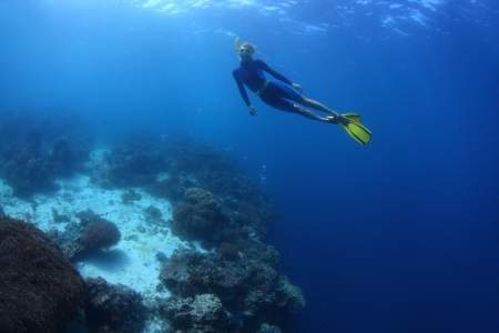 Young lady swimming underwater on a breath hold by a coral reef wall