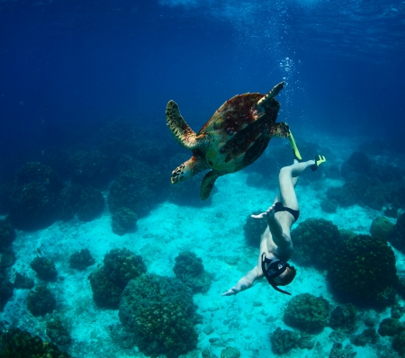 Young man snorkeling in a tropical sea with turtleの写真素材