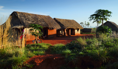 Traditional houses in Madagascarの写真素材