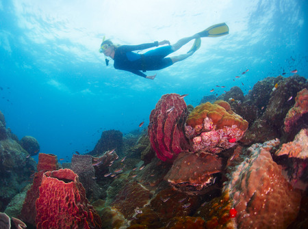 Young lady finning in the blue tropical sea over coral reef