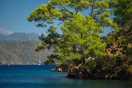 Calm bay with clear water and green trees. Skopea LImani region, Turkeyの写真素材